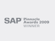 sap-pinnacle-awards-winner