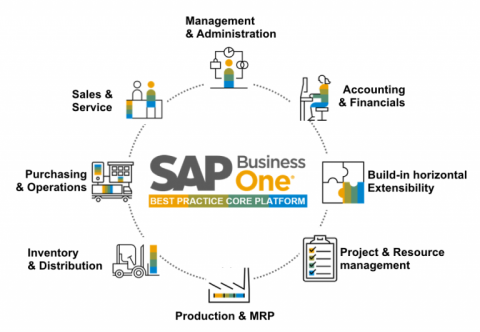 sap business one case studies